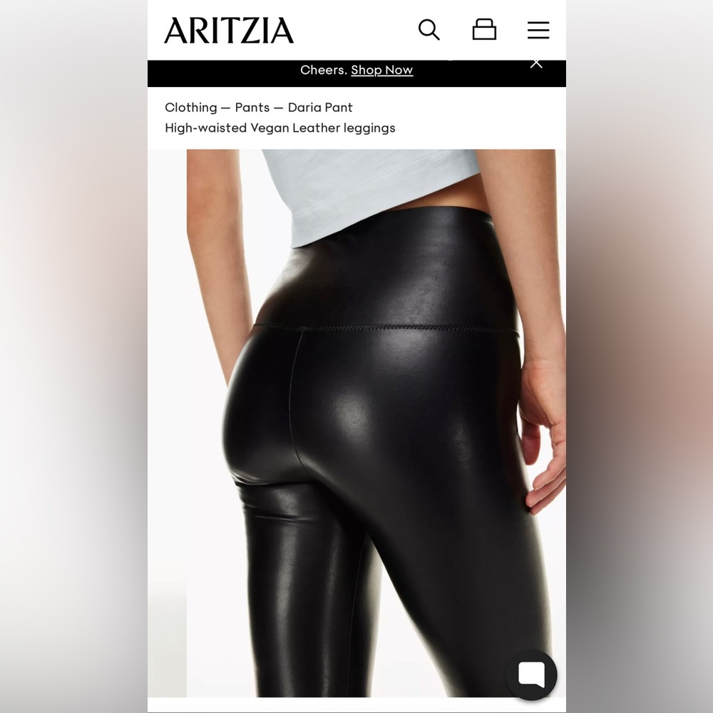 Aritzia leather pant